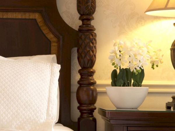 A cozy bedroom scene featuring a wooden headboard, a white pillow, a lamp on a nightstand, and a potted plant with white flowers.