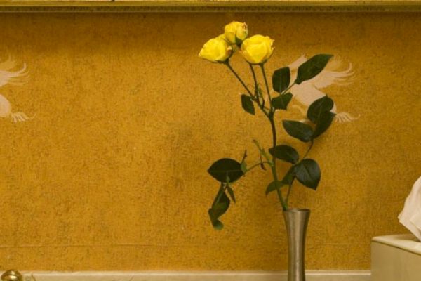 The image shows yellow roses in a vase beside a tissue box against a patterned wall with horses.