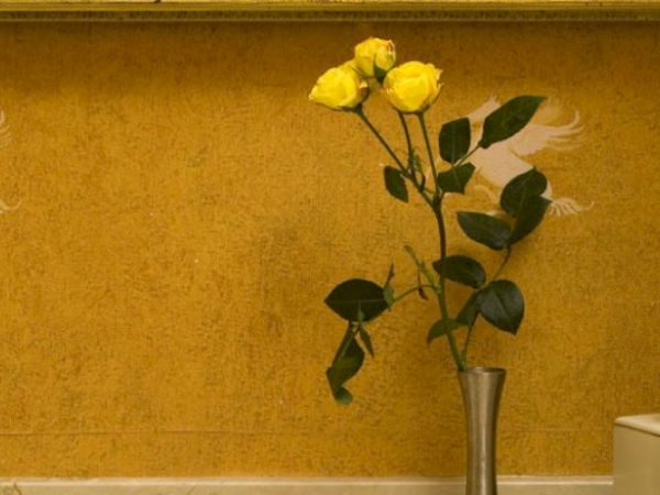 The image shows yellow roses in a vase beside a tissue box against a patterned wall with horses.