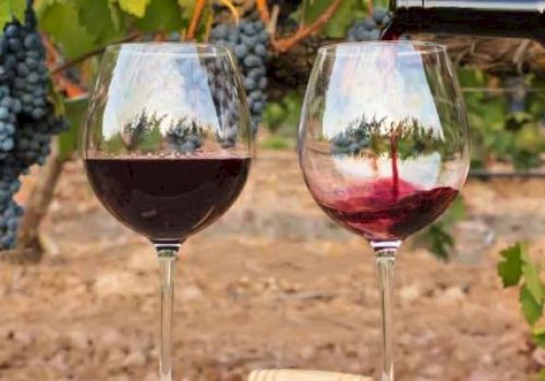 Two wine glasses being filled with red wine in a vineyard setting, with grapevines and bunches of grapes in the background.