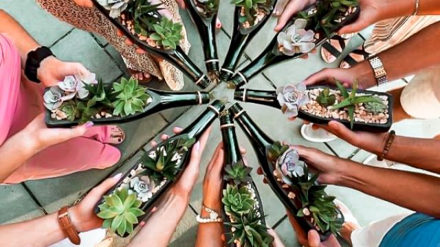 People holding succulent plants in glass bottles arranged in a circular pattern.
