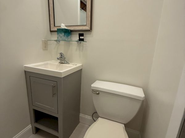 A small bathroom with a white toilet, vanity sink, wall-mounted mirror, and soap/tissue on the counter.