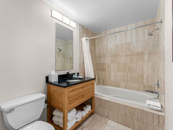 A clean modern bathroom with a toilet, wood vanity sink, large mirror, and a tiled tub/shower with a handheld rain-style showerhead.